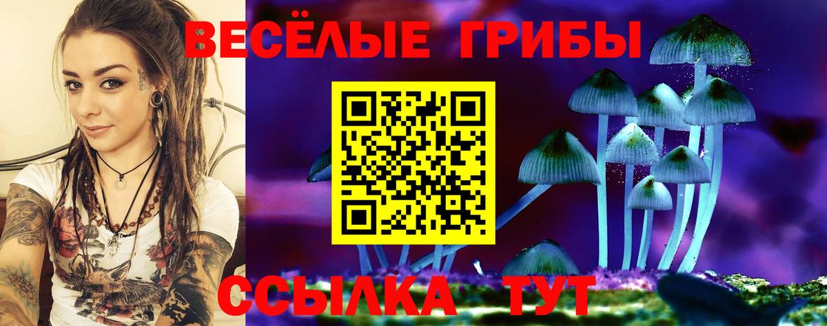 Галлюциногенные грибы Psilocybine cubensis Клин